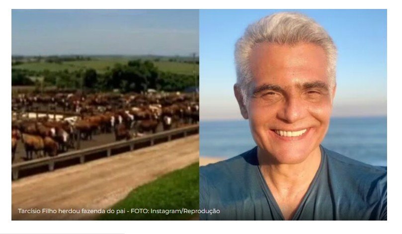 Aos 61 anos, Tarcísio Filho assume fazenda de 10 mil hectares no Pará após morte do pai