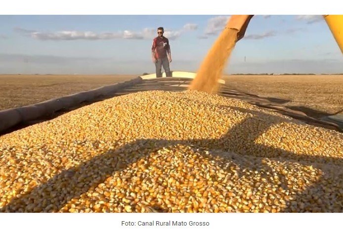 Exportações de milho crescem 61,87% em Mato Grosso