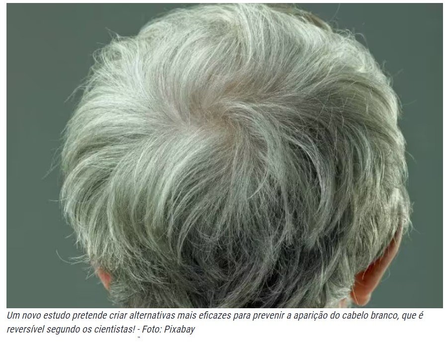 Cabelo branco é reversível, descobrem cientistas dos Estados Unidos