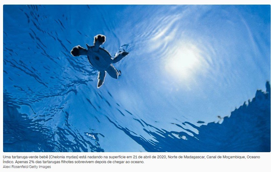 Temperatura dos oceanos atinge nível recorde e preocupa cientistas