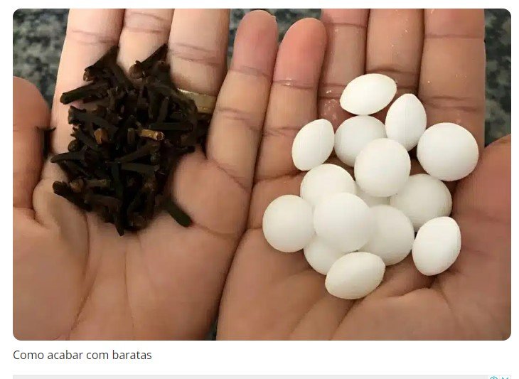 Como acabar com baratas e formigas da sua casa misturando 2 produtos que você tem no armário
