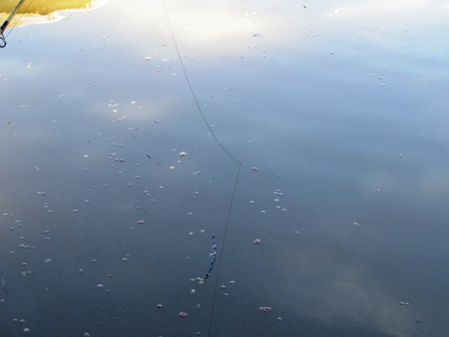 1ª Pesca no Lago dos Pioneiros