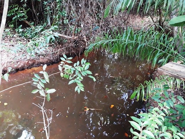 Cachoeira da Familia Colider