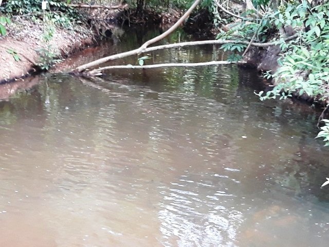 Cachoeira da Familia Colider