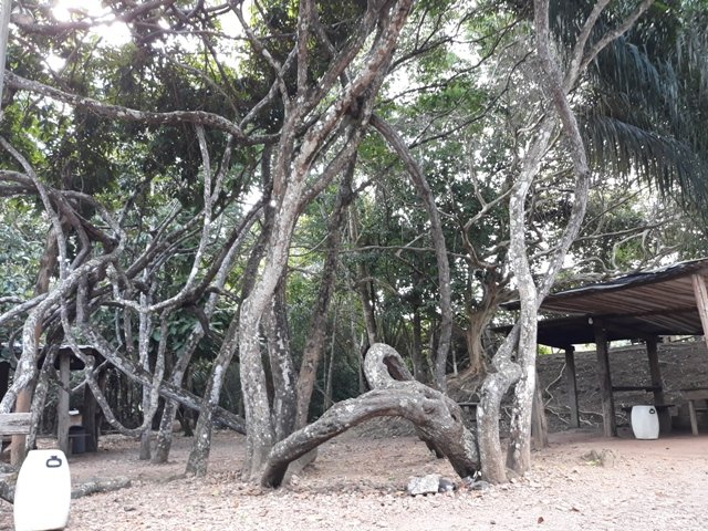 Cachoeira da Familia Colider