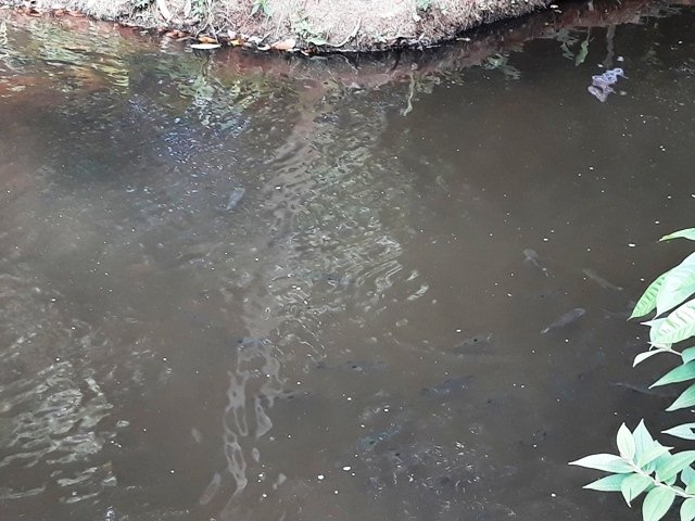 Cachoeira da Familia Colider