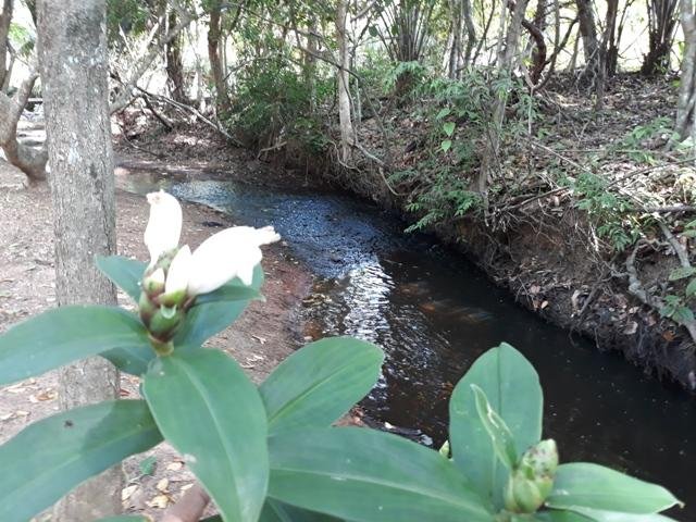 Cachoeira da Familia Colider