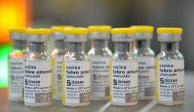 Sociedades médicas divulgam orientações sobre vacinação contra a febre amarela