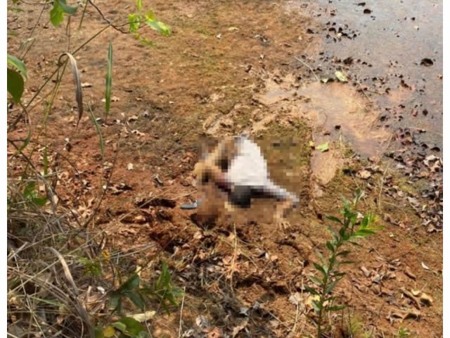 Dois bandidos são mortos em confronto com a PM em MT