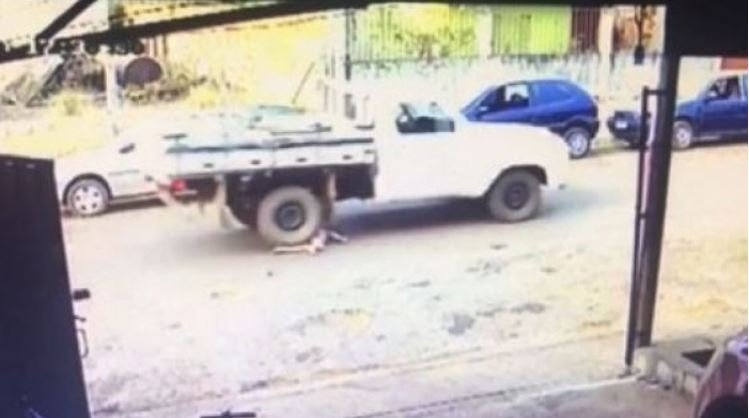 Criança de 4 anos sobrevive a atropelamento de caminhoneta