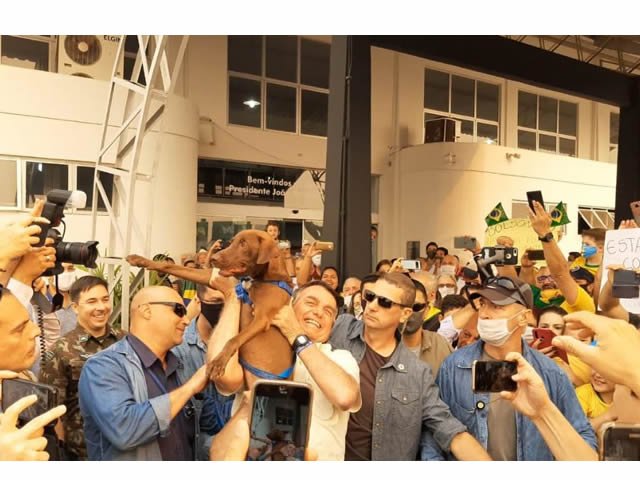 Stopa, o cão mascote, é abraçado por Jair Bolsonaro em visita oficial