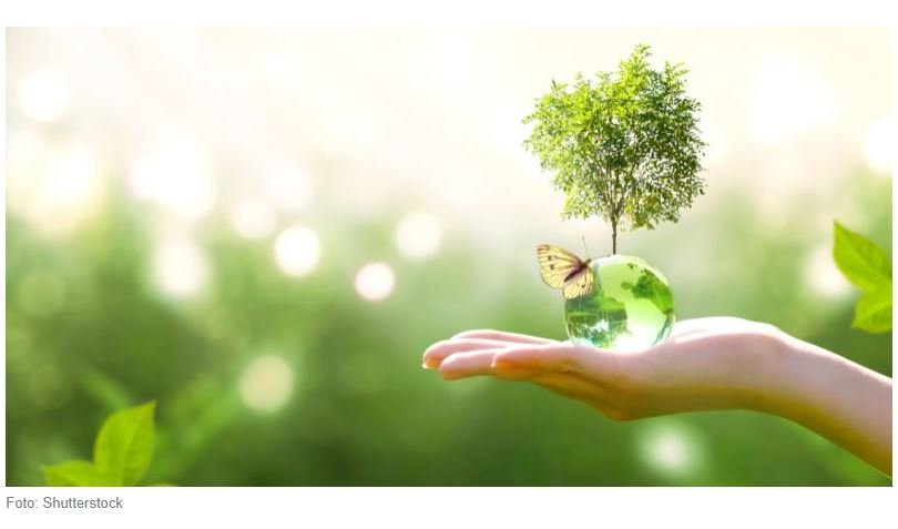 7 projetos sustentáveis que podem mudar o mundo