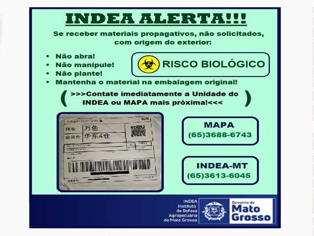 INDEA-MT alerta sobre perigos de recebimento de pacotes de sementes não solicitadas oriundas da China