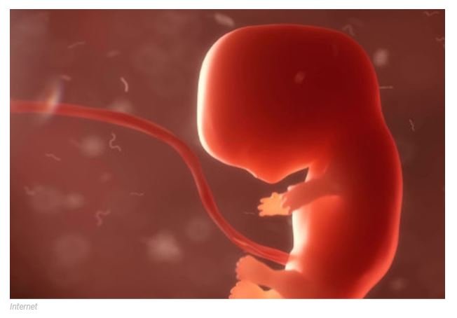 Ministério da Saúde atualiza procedimentos para aborto no SUS