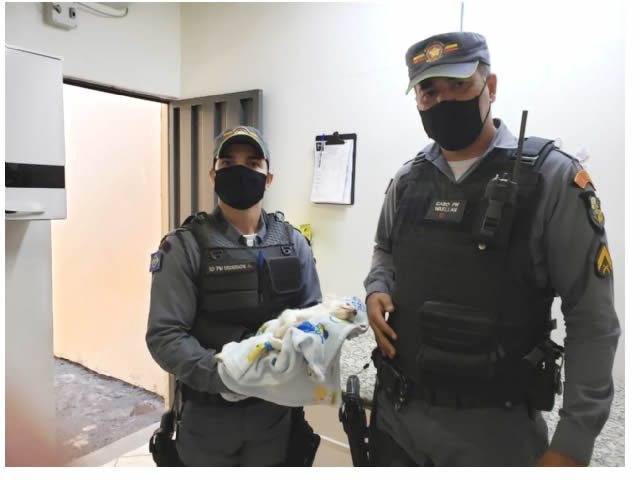 Mulher é presa por tentar matar filhote de cadela asfixiada com enxada; policial adota animal