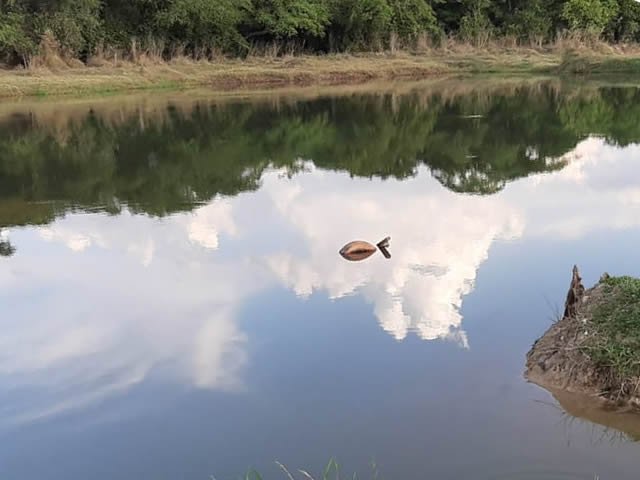 Família em Colíder tem casa arrombada e carretinha jogada dentro de lago. (fotos)