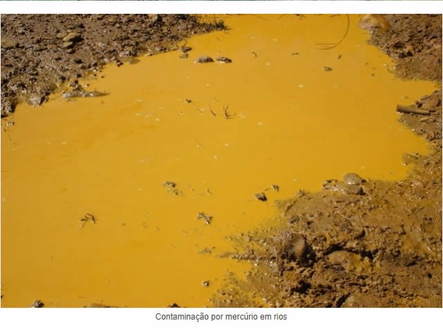 Contaminação por Mercúrio: Principais sinais e sintomas