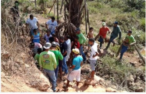 Ninho de cobras gigantes em bueiro apavora população de cidade no Tocantins
