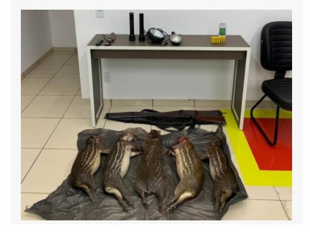 Dois homens são presos com caça irregular e arma