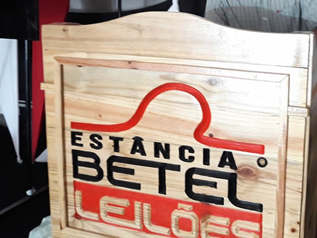 Mais de 700 cabeças de bovinos serão leiloadas na próxima quinta-feira pela Estancia Betel Leiloes de Colíder.(Vídeo)