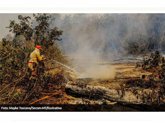 Ibama manda recolher todos agentes de combate a incêndios