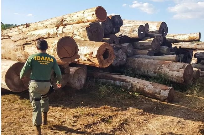 Ibama descobre fraude em plano de manejo e aplica multa de R$ 782 mil em MT
