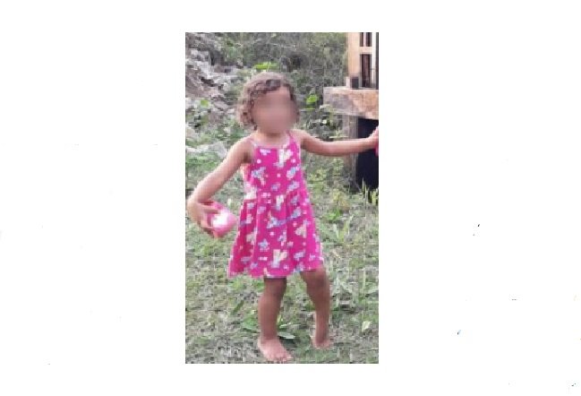 Menina é achada a 6 km de sítio da avó em MT