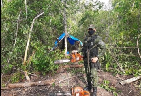 Batalhão Ambiental apreende armas, munições e descobre extração ilegal de madeira