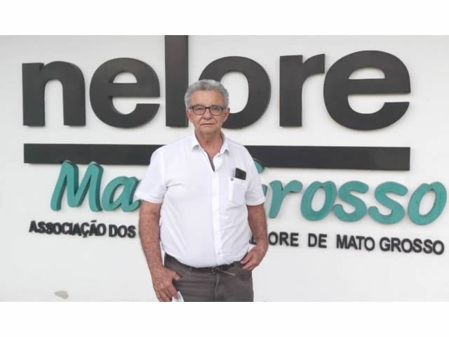 Nova diretoria aposta no fortalecimento da raça Nelore em Mato Grosso