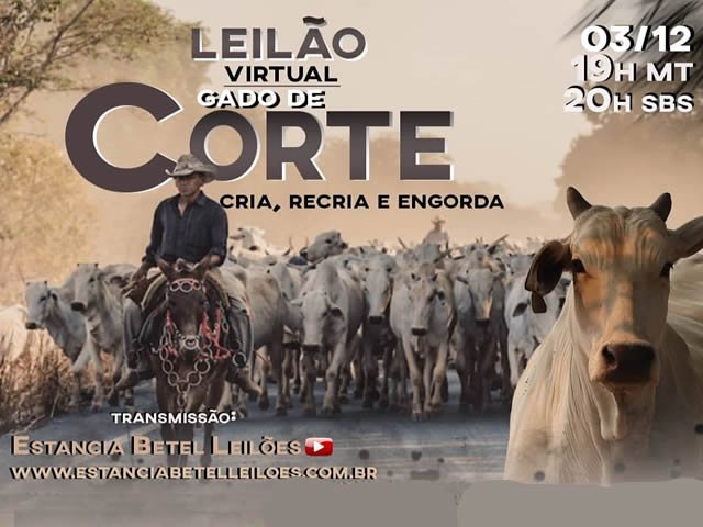 Na próxima quinta-feira (03) mais um leilão da Estância Betel Leilões de Colíder. (Vídeo)