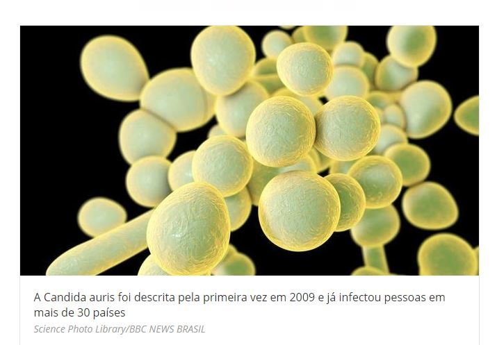 'Superfungo' em alerta no Brasil preocupa, mas não é ameaça como covid-19, diz infectologista