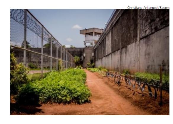 Preso que bateu nos pais tem braço quebrado em presídio