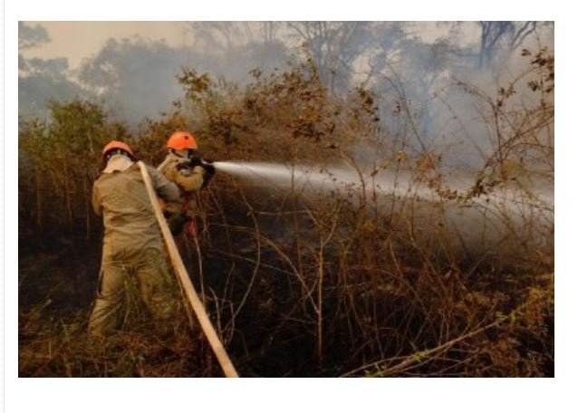 Operação investiga Energisa e fazendeiros por incêndios em MT