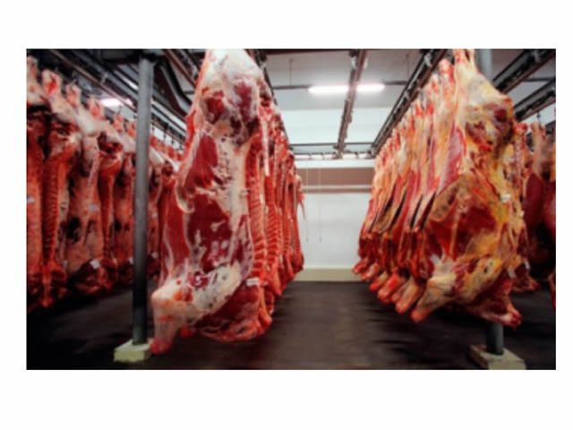 Ano de 2020 deixa saldo positivo para a carne bovina em MT