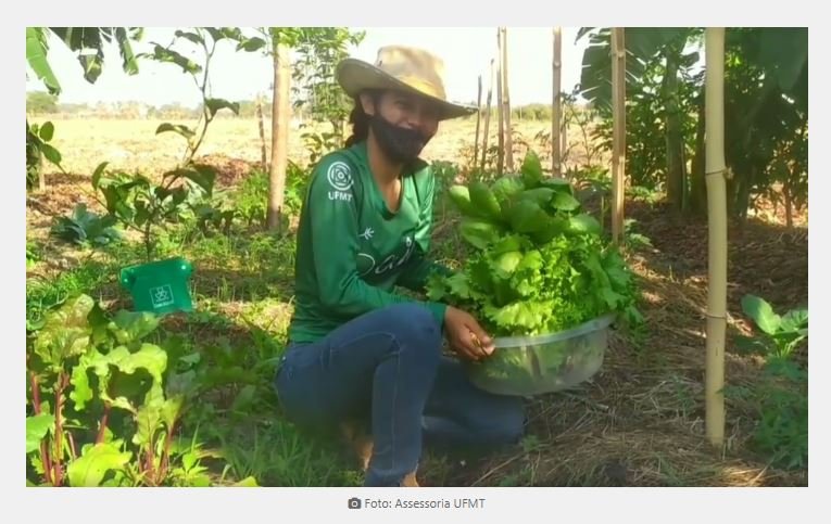 Acadêmicos produzem meia tonelada de alimentos no quintal da UFMT
