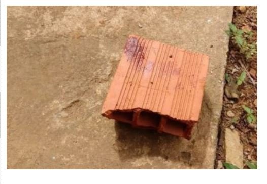 Adolescente é espancado com tijoladas pela mãe em MT
