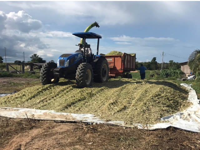 Prefeitura de Colíder colabora com produtores rurais.