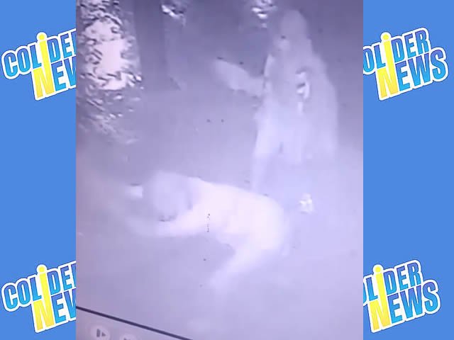 URGENTE: Ladrões em Colíder fazem furto em farmácia usando tijolos. (Vídeo)