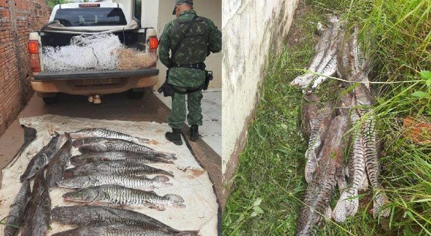 Homem tenta fugir, mas é pego com 112 quilos de pescado