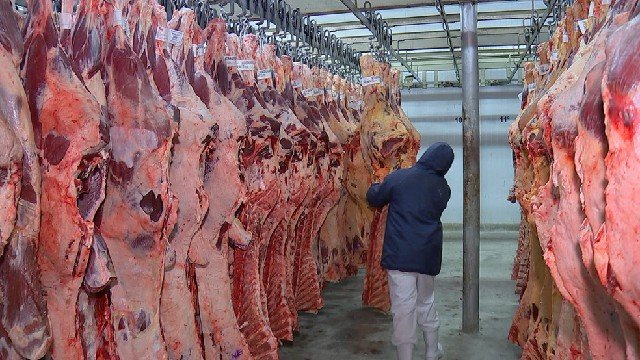 Carne exportada em MT aumentou 18% em 2020 e movimentou 1,8 milhão de dólares