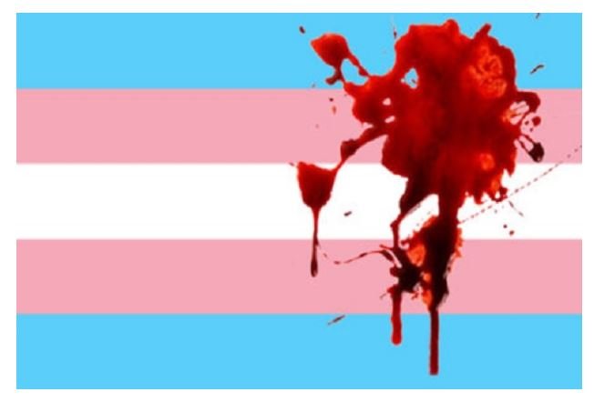 Em 4 anos, Mato Grosso registra assassinato de 23 pessoas trans