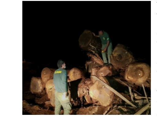 Operação prende 3 pessoas por exploração ilegal de madeira em terra indígena e aplica multa de R$ 1 milhão