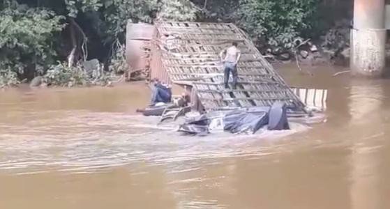 Carreta carregada com bois cai em rio de MT; animais morrem afogados