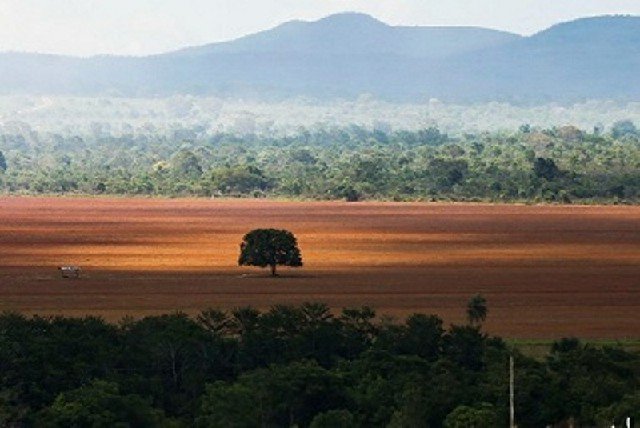 MPMT intensificará atuação na área criminal para coibir desmatamentos
