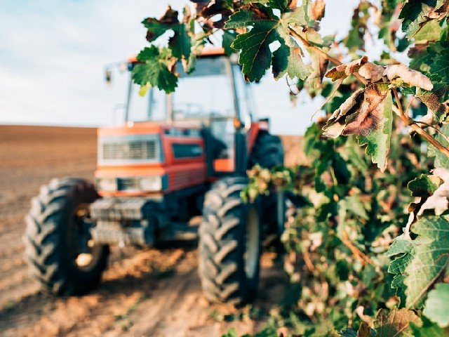 Agro abre 212 vagas em Sinop com salários de R$ 5,5 mil