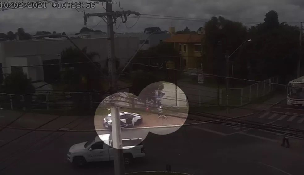 (Vídeo) Guardas Municipais salvam homem e criança, de 3 anos, de ataque de pitbull