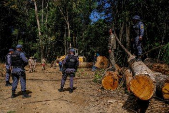 Sema lança plataforma de acesso público aos alertas de desmatamento