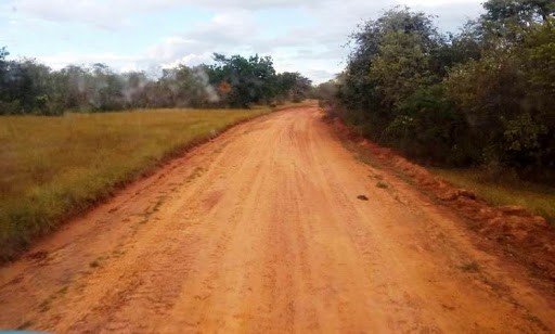Casal que estava desaparecido há uma semana é encontrado morto em beira de estrada