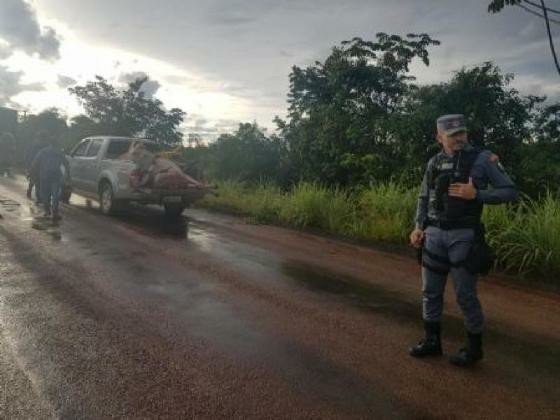 Carreta atropela rebanho e 17 vacas morrem em rodovia