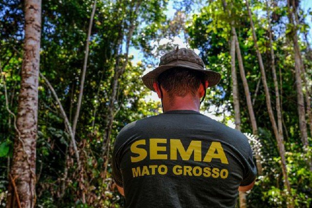 Desmatamento em Mato Grosso reduziu 31,5% nos últimos seis meses, de acordo com Inpe